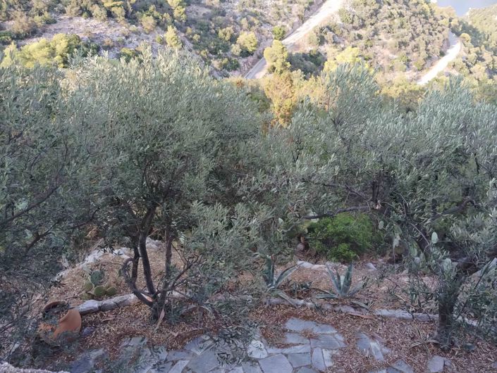 Image No.18-2 Bed Village House for sale