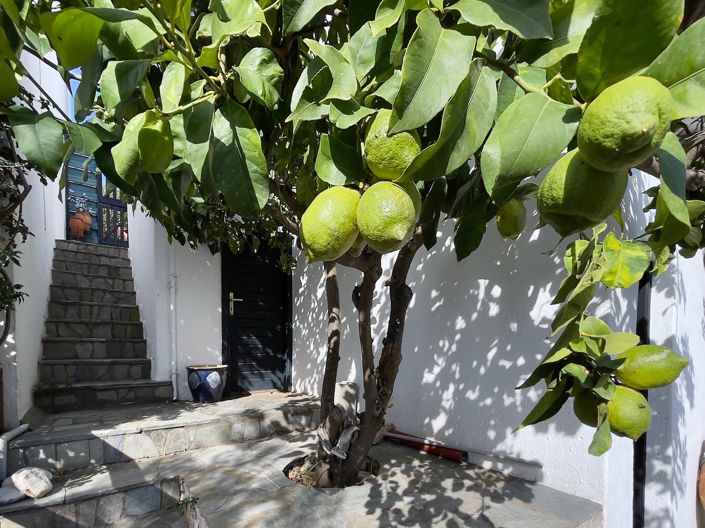 Image No.4-1 Bed Village House for sale