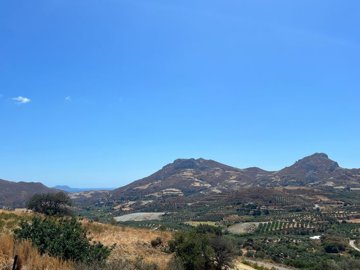 elxis-at-home-in-greecesunny-days-531