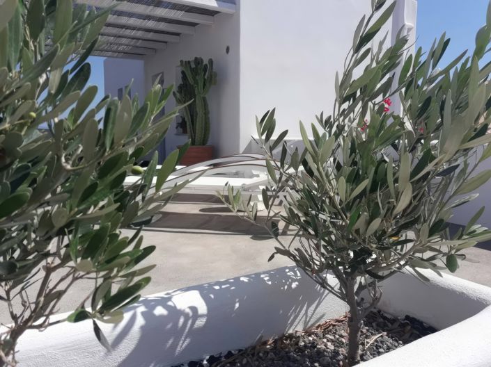 Image No.29-7 Bed Villa for sale