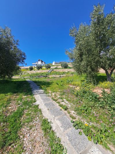 Image No.10-3 Bed Villa for sale