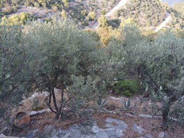 282251-elxis-at-home-in-greeceamoni-horizon-n