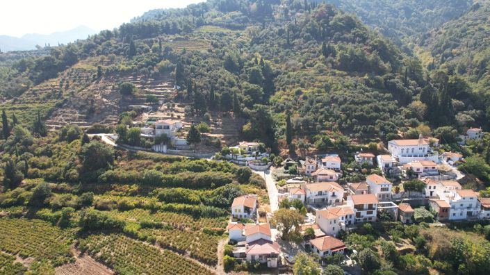 Image No.22-Villa de 2 chambres à vendre à Îles Égéennes