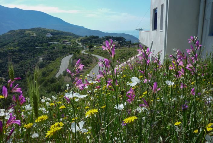 Image No.29-4 Bed Villa for sale