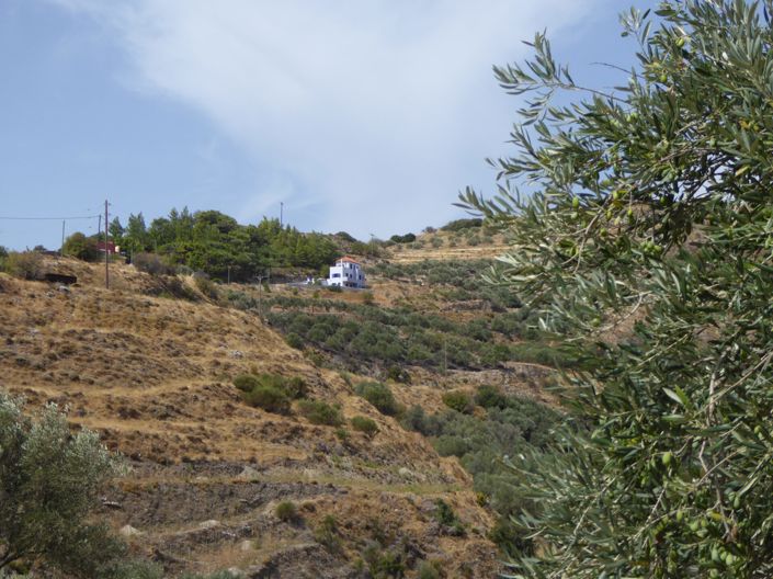 Image No.8-4 Bed Villa for sale