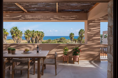 286471-elxis-at-home-in-greece-olea-land5