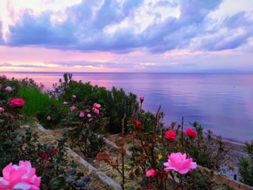 elxis20at20home20in20greeceseafront-villa-ali