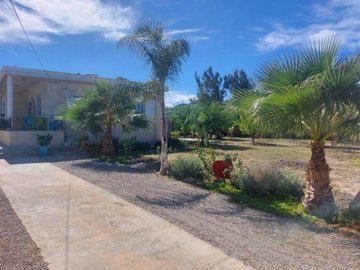 elxis20at20home20in20greecegarden20house20nea