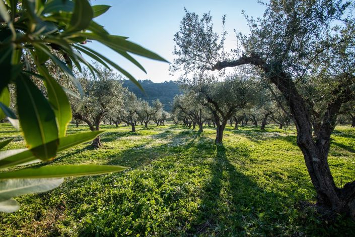 Image No.21-Maison de village de 4 chambres à vendre à Îles Ioniennes