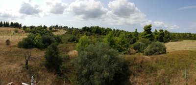 207767-kassandra-chalkidiki-complex4