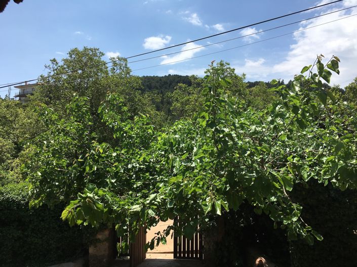 Image No.3-2 Bed Village House for sale