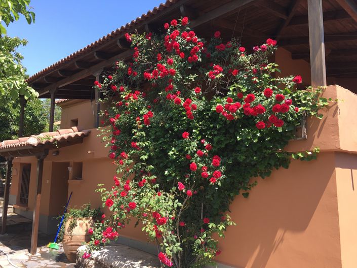 Image No.4-2 Bed Village House for sale