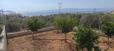 270582-img20241012120207