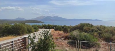 270562-img20241012125340