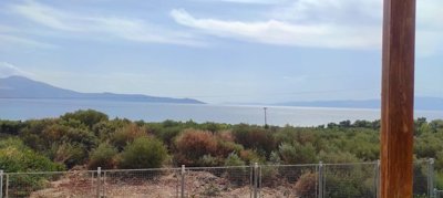 270565-img20241012125423