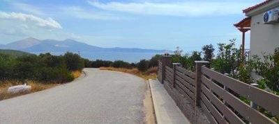 270566-img20241012130815