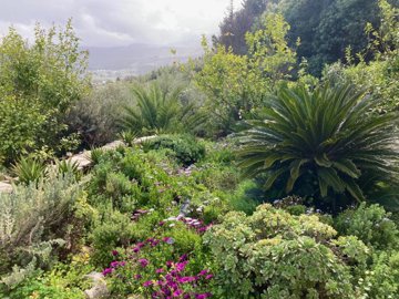 278077-elxis-at-home-in-greecepastoral-home-p