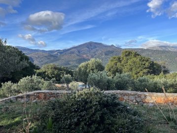 282596-elxis-at-home-in-greeceolive-orchard-e