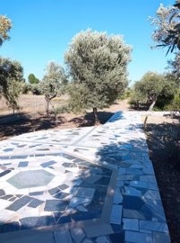 289812-elxis-at-home-in-greeceolive-grove-afa