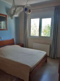 289813-elxis-at-home-in-greeceolive-grove-afa