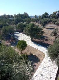 289801-elxis-at-home-in-greeceolive-grove-afa