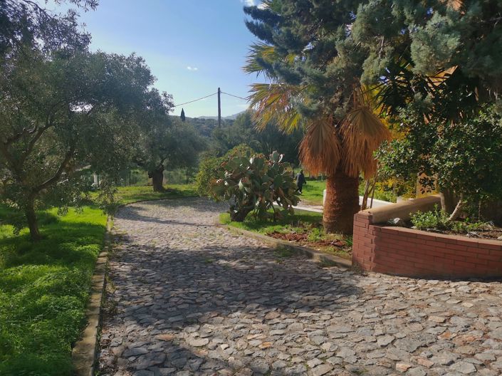 Image No.2-3 Bed Villa for sale