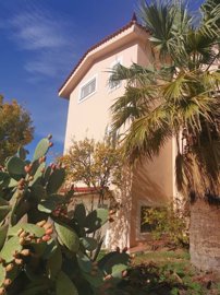 261319-detachedhouseinlakoniaelxisat-home-in-