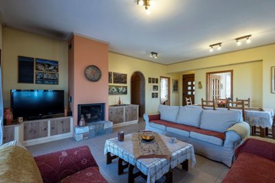 259833-living-room