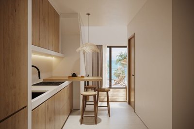 288923-elxis-at-home-in-greecelefkasbeachfron