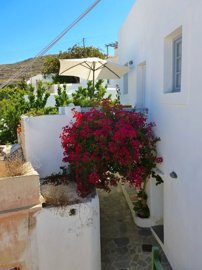 233020-elxis-at-home-in-greecesikinos-traditi