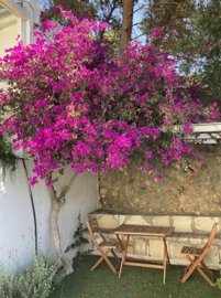 elxis20at20home20in20greecevilla-tranquility2