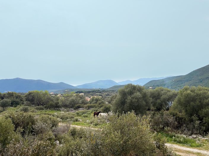 Image No.4-3 Bed Villa for sale