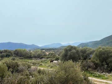 elxis20at20home20in20greecelefkas-bayviewvill