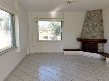 elxis20at20home20in20greeceamarynthos-olive-h