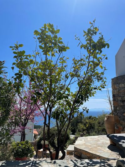 Image No.22-2 Bed Villa for sale