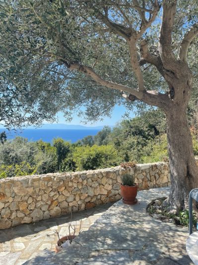 Image No.3-2 Bed Villa for sale
