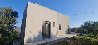 elxis20at20home20in20greecemessenian-olive-vi