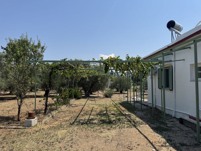 Image No.27-5 Bed House for sale