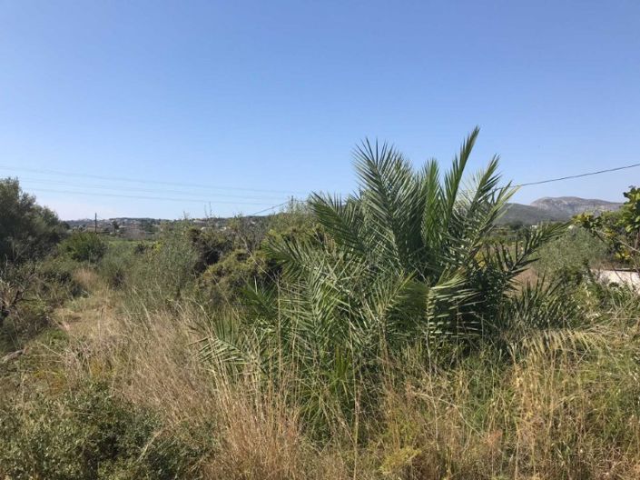 Image No.7-Ferme de 1 chambre à vendre à Javea