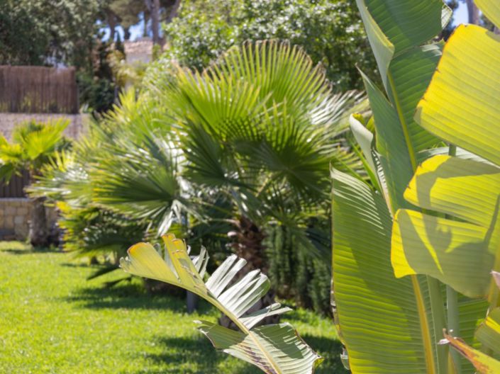 Image No.36-Villa de 3 chambres à vendre à Javea