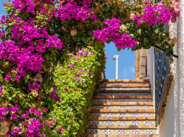 Image No.36-6 Bed Villa for sale