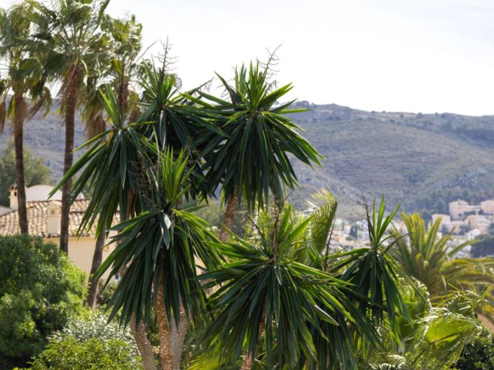 Image No.35-5 Bed Villa for sale