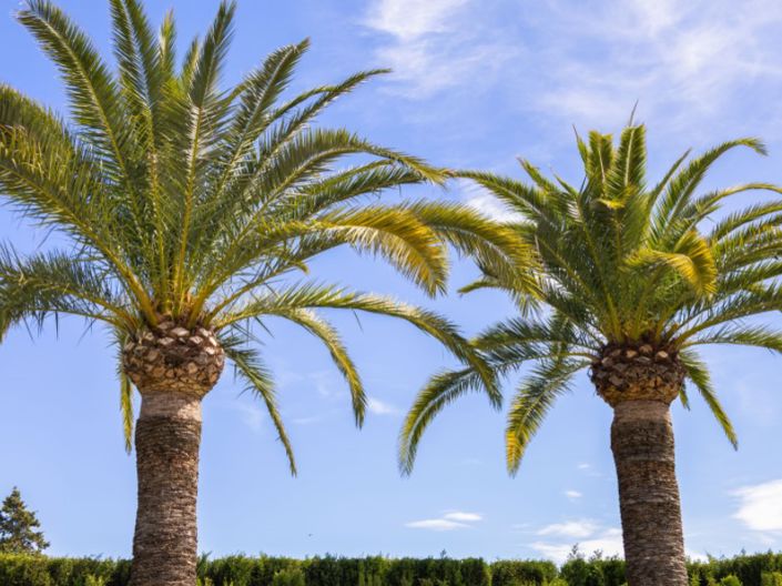 Image No.55-4 Bed Villa for sale