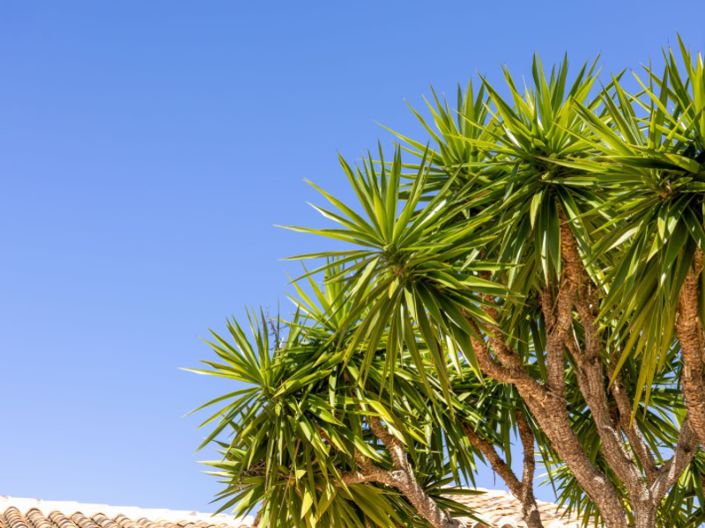 Image No.53-5 Bed Villa for sale