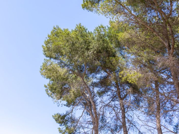 Image No.37-Villa de 3 chambres à vendre à Javea