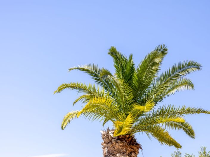 Image No.43-Villa de 3 chambres à vendre à Javea