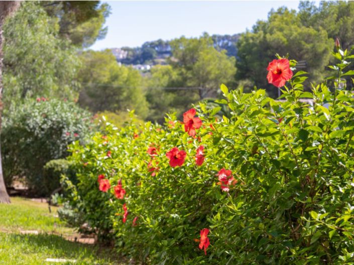 Image No.29-Villa de 2 chambres à vendre à Javea