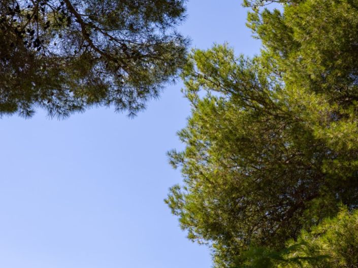 Image No.31-Villa de 2 chambres à vendre à Javea