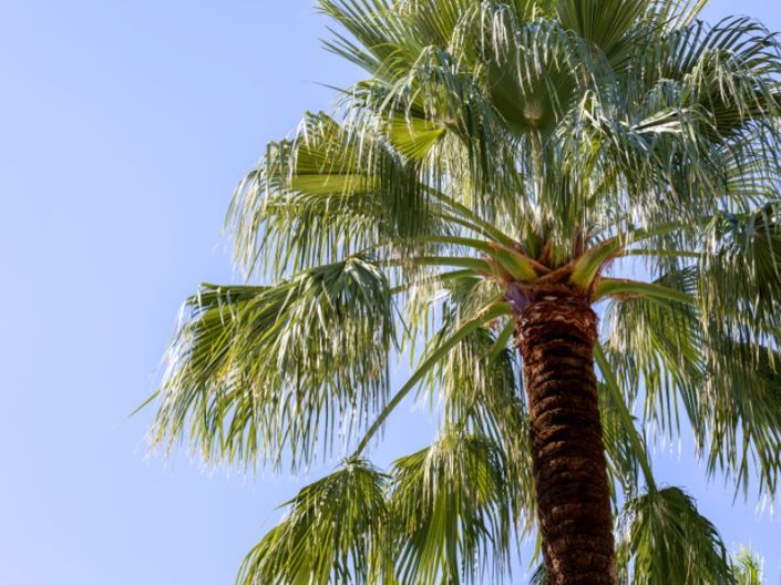 Image No.35-Villa de 2 chambres à vendre à Javea