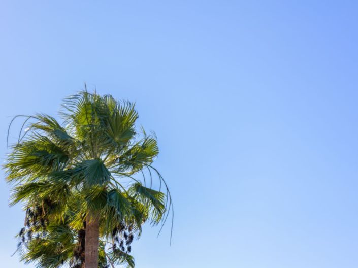 Image No.28-3 Bed Villa for sale